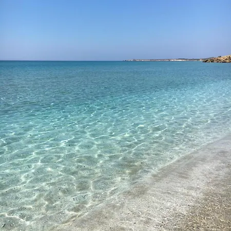 Sh Carpaccio 14 * Oristano