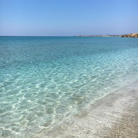 Sh Carpaccio 14 * Oristano